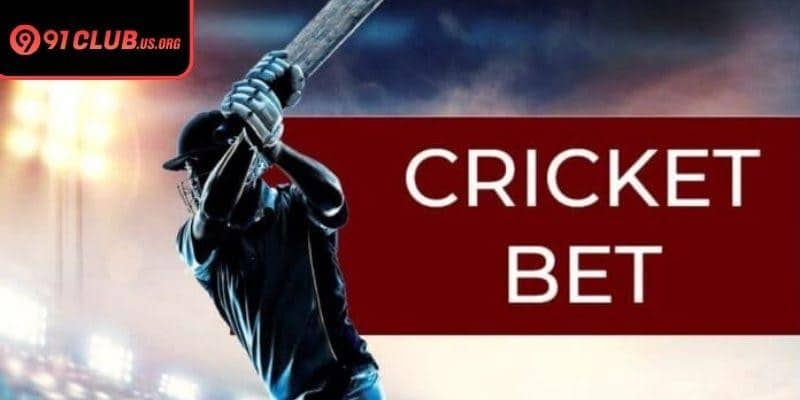 Cricket betting tips free improve accuracy through data-driven insight