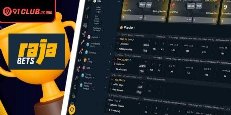 Rajabets' pros and cons are clearly explained for informed players