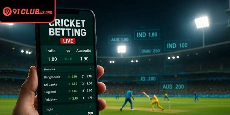 Rely on verified platforms like 91 club for trusted insights