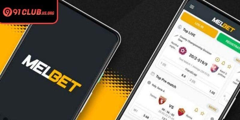Seamless compatibility across multiple devices and operating platforms